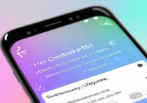 vivox5max主题怎么更新?找不到更新入口怎么办?