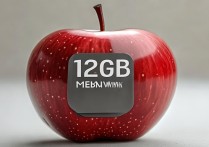 苹果怎么看是128g内存条？如何查询苹果设备内存大小？