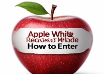 苹果白苹果恢复模式怎么进