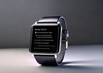 红米Redmi Watch 2能流畅看小说吗？续航跟得上吗？