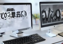 vivo手机账户密码注册不了怎么办理？具体解决方法有哪些