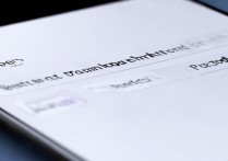 vivo下载限量怎么设置？如何为应用设置下载次数限制？