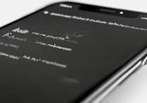 苹果手机屏幕变成黑白屏怎么办