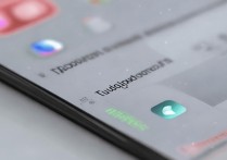 苹果手机应用怎么删除不了怎么回事，手机无法删除应用解决方法