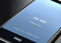 vivo手机imei meid无效