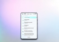 vivo如何看wifi密码