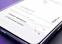 vivo怎么设置网络权限设置在哪里设置方法