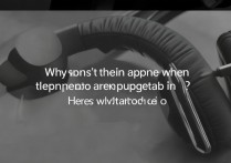 苹果耳机插上不显示图标怎么回事，苹果耳机插入无图标显示原因及解决方法