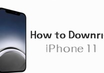 苹果升11怎么降