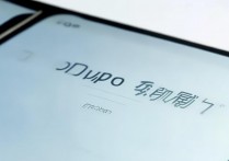 OPPO查审核进度在哪看？附详细步骤入口