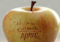 苹果手机怎么自定义运营商名称？详细教程步骤在这里