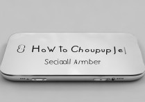 怎么查苹果编号