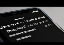 苹果手机屏幕突然变大怎么办缩放已关闭