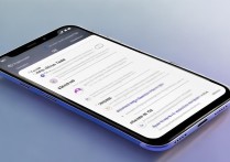 小米civi3进入开发者模式教程