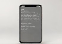 苹果手机怎么彻底关闭通话时的提示音？