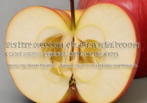 苹果手机如何导入小米通讯录？小米手机通讯录备份恢复不了怎么办