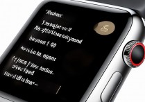 苹果手表怎么调输入法？苹果手表输入法设置方法