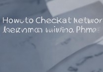 vivo手机如何检测网络设置是否正常？