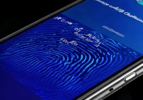 vivo Z5屏幕指纹颜色怎么换？教程有吗？