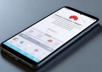 华为手机管家怎么加密？文件隐私保护设置方法