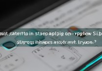 vivox9怎么安装otg插件