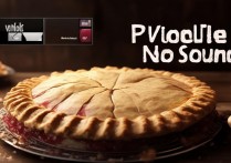 苹果爱派视频没声音怎么回事，iPad 播放无声解决办法