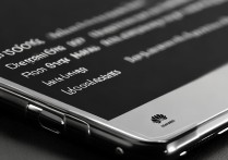 华为p10plus怎么开满血