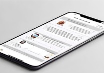 vivo字体显示不合法怎么改？教你解决字体授权问题。