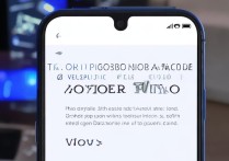 vivo手机如何打开调试模式？详细步骤是什么？