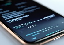 苹果手机代码怎么看