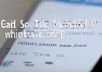 怎么修改三星手机充电提示音，三星充电提示音在哪里设置