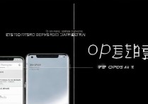 OPPO智能怎么选？性价比与功能哪个更值得买？