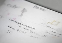 oppo隐藏应用怎么打开，oppo手机隐藏应用在哪里找