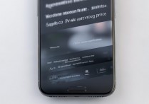 华为手机图像怎么设置不了了？是什么原因导致的