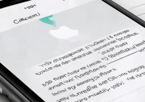 苹果下一个日程怎么设置？手机日历找不到新建入口？