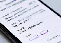 vivo怎么打开移动网络设置密码