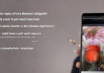 oppo 怎么搞动态壁纸？oppo 手机如何设置免费高清动态壁纸教程