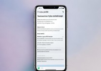 oppo手机怎么彻底删除系统更新包不占内存？