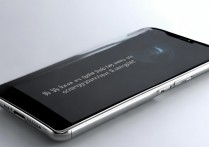 vivot1有没有双扬声器？支持立体声吗？