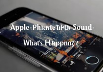 苹果电话视频没有声音怎么回事啊