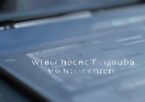 怎么查看vivo程序，vivo手机如何查看后台运行程序