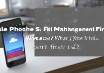 苹果4s文件管理在哪？找不到文件怎么办？