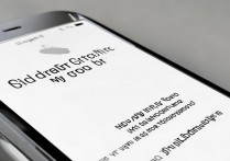 苹果6s怎么开启麦克风？苹果6s麦克风权限在哪里设置