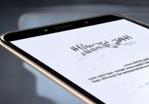 vivo手机解锁不灵怎么办？教你快速解决解锁失灵问题