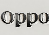 OPPO手机免费画画教程在哪看