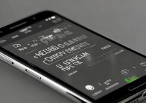 vivox5l怎么打开开发者选项