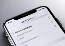 iPhone返回键设置超简单教程