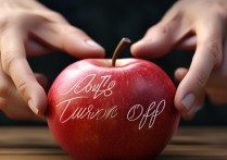 苹果上面手势怎么关