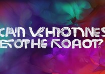 vivo手机能root吗