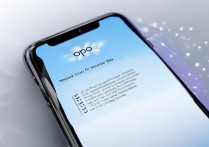 oppo 怎么关流量？